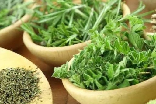 خرید سبزی خشک برای رستوران و عطاری